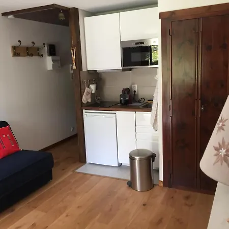 Au Calme Avec Jardin Et Vue Mont-blanc Apartamento *
