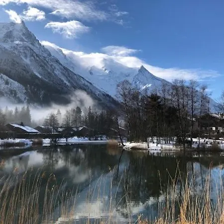 Lejlighed Au Calme Avec Jardin Et Vue Mont-blanc Chamonix
